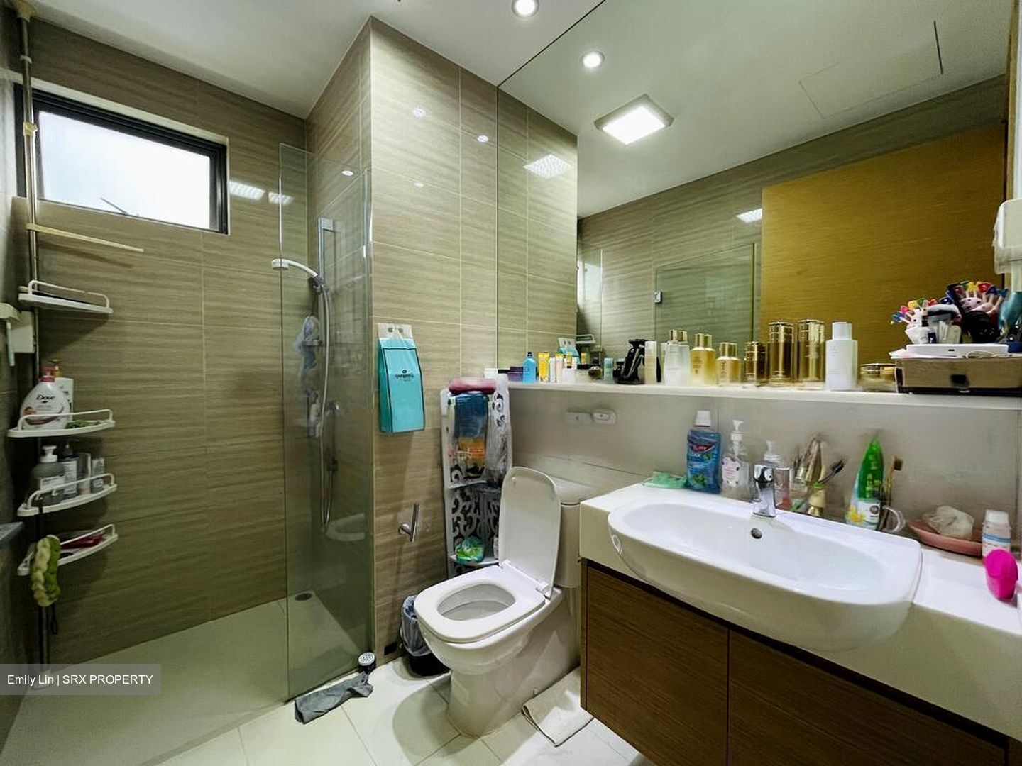 The Skywoods (D23), Condominium #467328601